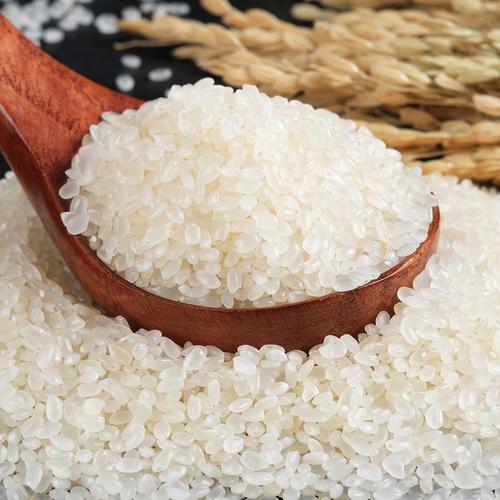 优质粳米